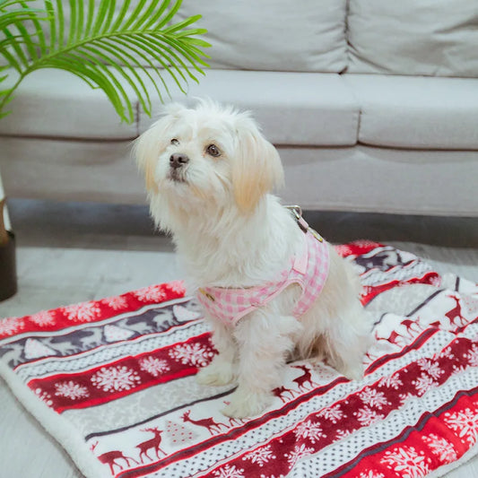 Christmas Double Sided Thick Warm Pet Blanket